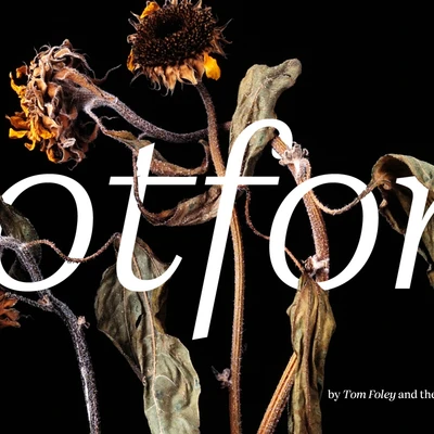 Cotford vale para todo: un tipo de letra serif expresiva y moderna para la era digital.